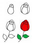 漂亮的花朵简笔画素材