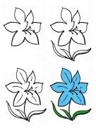 一大波漂亮的花朵简笔画画法步骤图