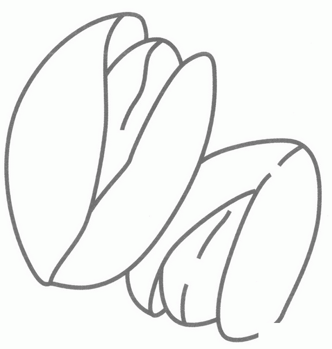 坚果简笔画