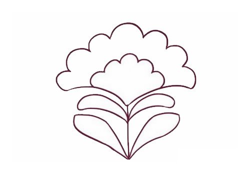 鸡冠花简笔画图片步骤三