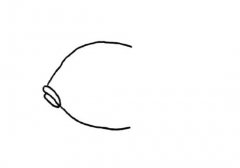 简单的小丑鱼简笔画的画法步骤图