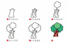 榕树简笔画步骤图片大全