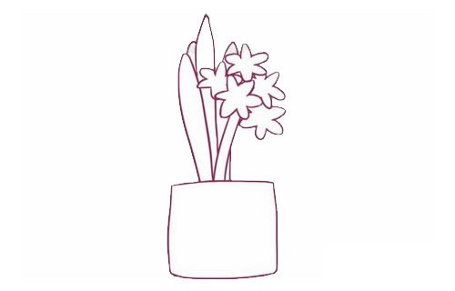 风信子简笔画图片步骤四