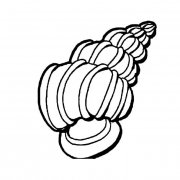 田螺简笔画图片