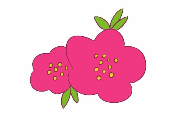 海棠花简笔画图片步骤四