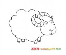 动物简笔画：一只小绵羊