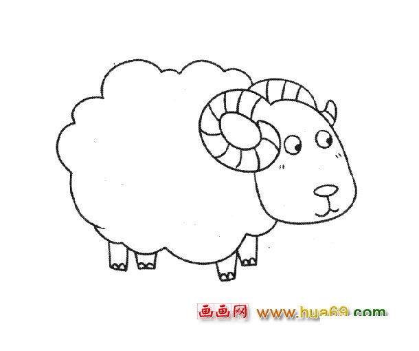 动物简笔画：一只小绵羊
