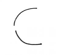 学画热带鱼简笔画步骤教程