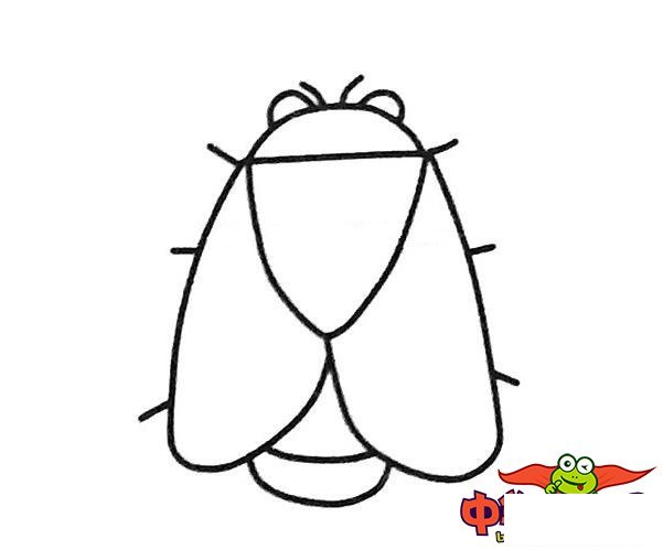 知了简笔画图片大全,夏天的知了