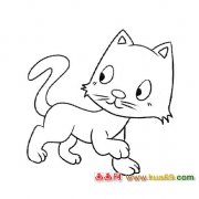 简笔画（漂亮的小猫）1