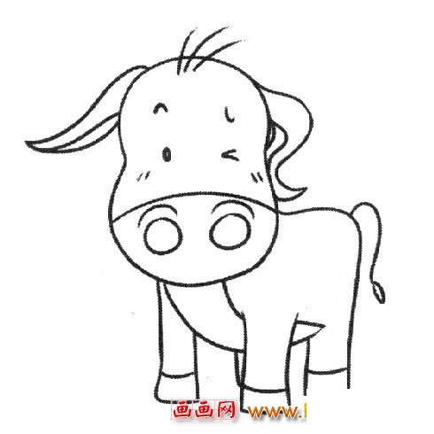 动物简笔画：卡通小牛