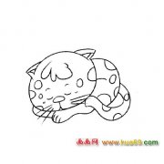 简笔画：睡觉的小猫3