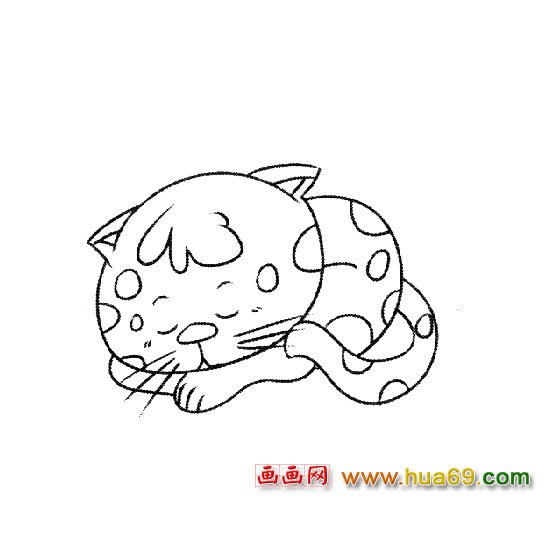 简笔画：睡觉的小猫3