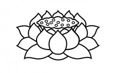 莲蓬花的简笔画图片