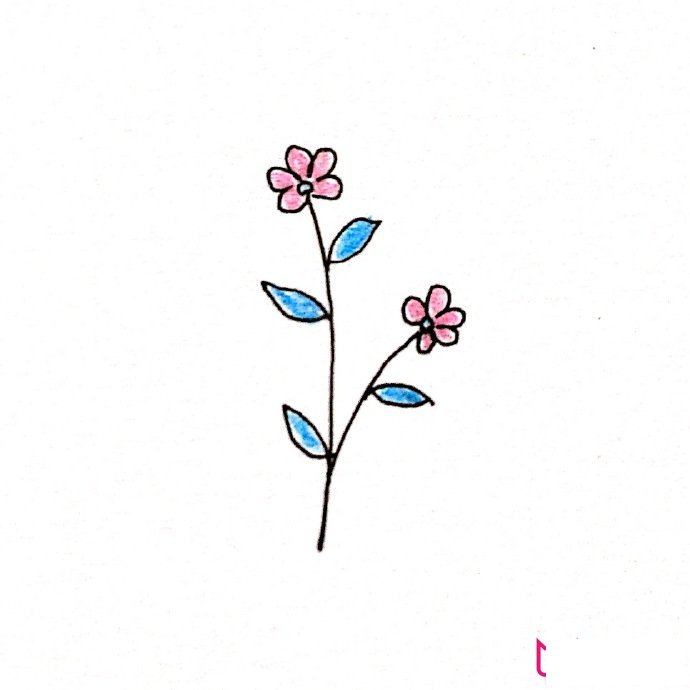 简约清新的植物简笔画大全，春风十里不如你