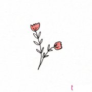 简约清新的植物简笔画大全，春风十里不如你