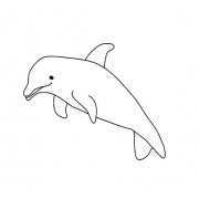 非常简单的海豚画法