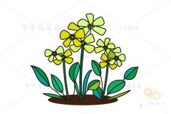 葶苈简笔画画法