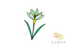 葱兰简笔画怎么画