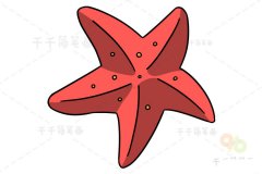 海星简笔画 儿童绘画