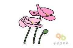 虞美人简笔画 儿童画