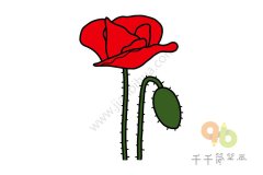 虞美人简笔画图片