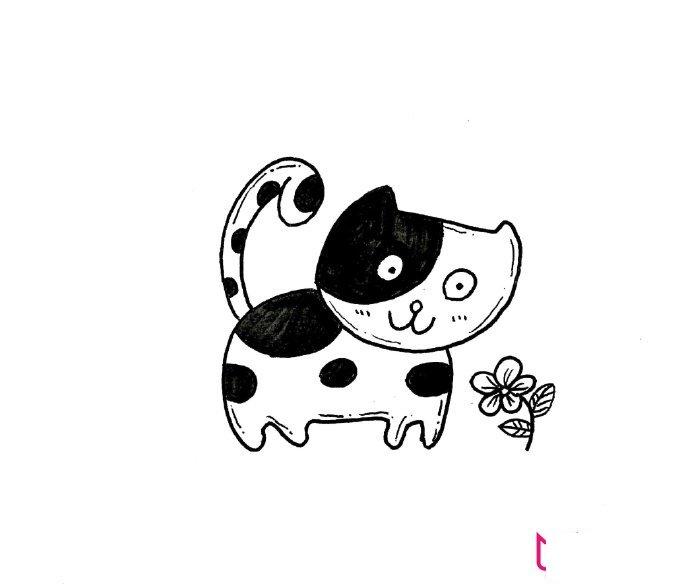 简单的动物简笔画，可爱的小猫