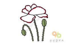 虞美人简笔画画法