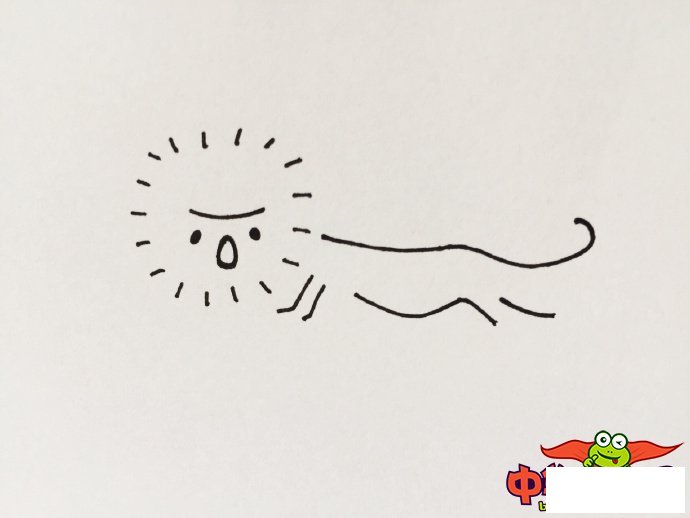 小动物简笔画大全可爱,最简单的小动物简笔画画法