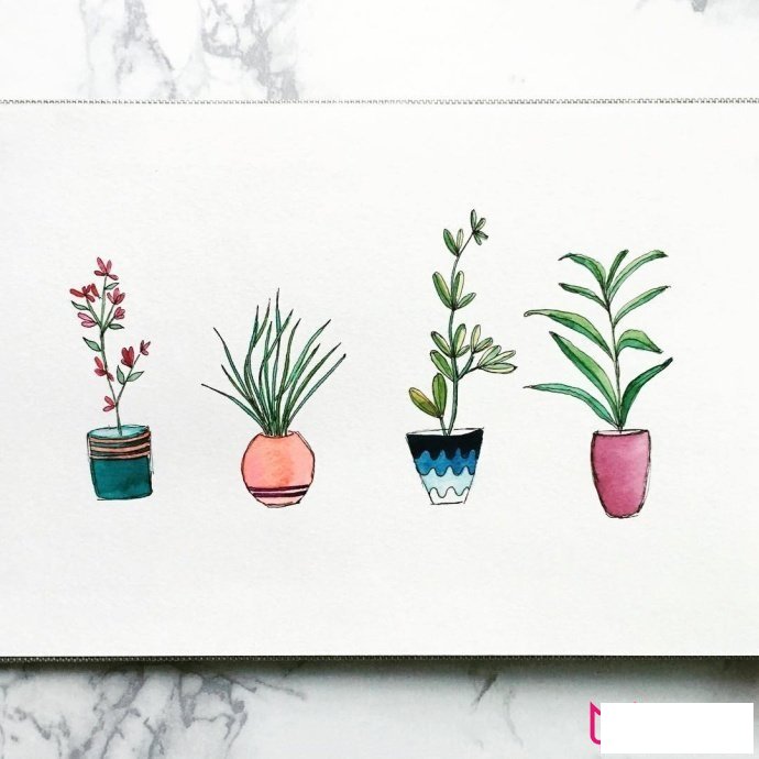 植物简笔画大全，小清新绿植盆栽