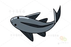 清道夫鱼简笔画