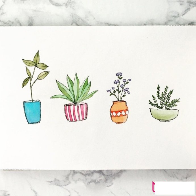 植物简笔画大全，小清新绿植盆栽