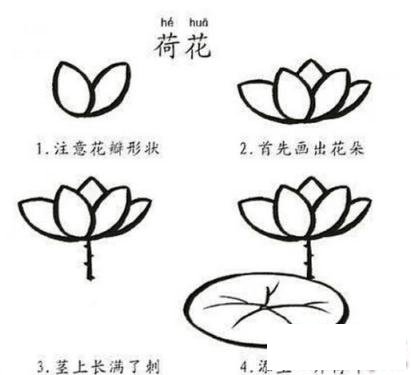 简笔画简单漂亮的荷花的具体画法步骤图片教程