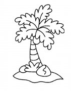 椰树植物简笔画步骤图片大全