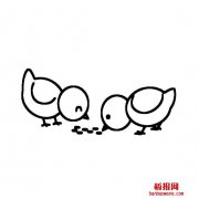 小鸡吃米的画法小鸡