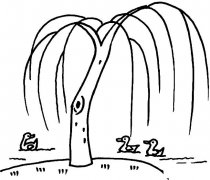 河边柳树植物简笔画步骤图片大全