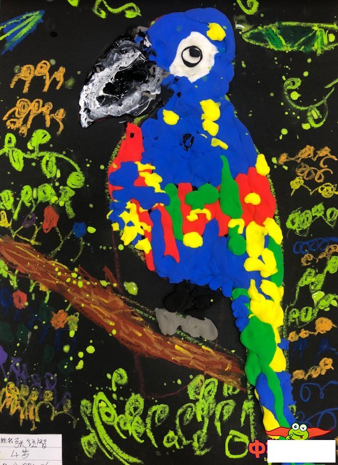 儿童画鹦鹉怎样画,漂亮的鹦鹉儿童画图片