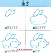 幼儿简笔画：四步画可爱的小白兔