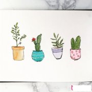 植物简笔画大全，小清新绿植盆栽