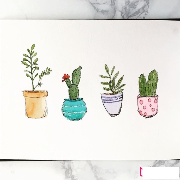 植物简笔画大全，小清新绿植盆栽