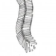 长鞭炮物品简笔画步骤图片大全