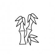 竹子的简易画法4