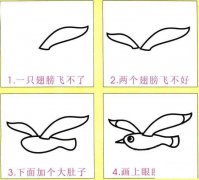 海鸥简笔画画法步骤：怎么画海鸥