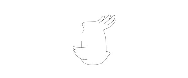 戴胜鸟简笔画图片