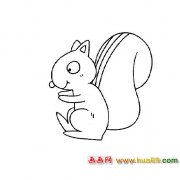 松鼠│动物简笔画3