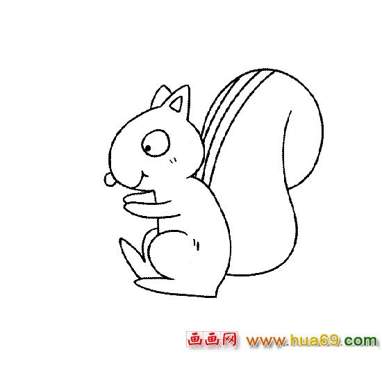 松鼠│动物简笔画3