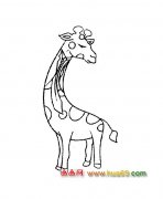 可爱的长颈鹿【简笔画】