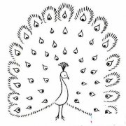 美丽的孔雀简笔画图片