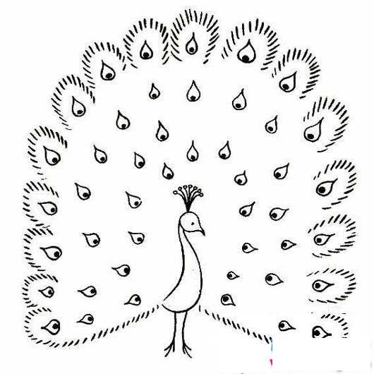 美丽的孔雀简笔画图片