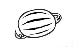 教你画水果:西瓜简笔画